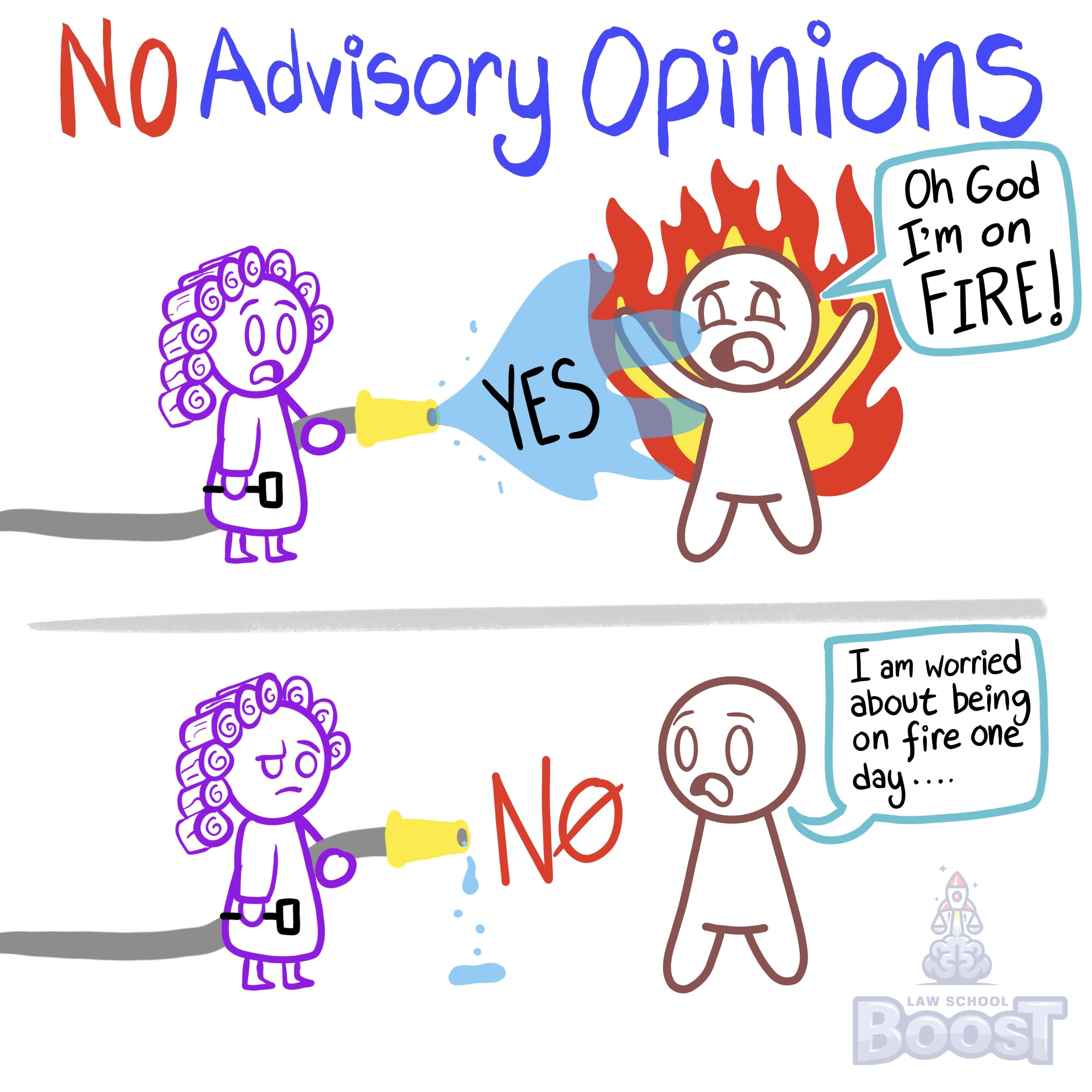 Overview and Issue Spotting: Constitutional Law