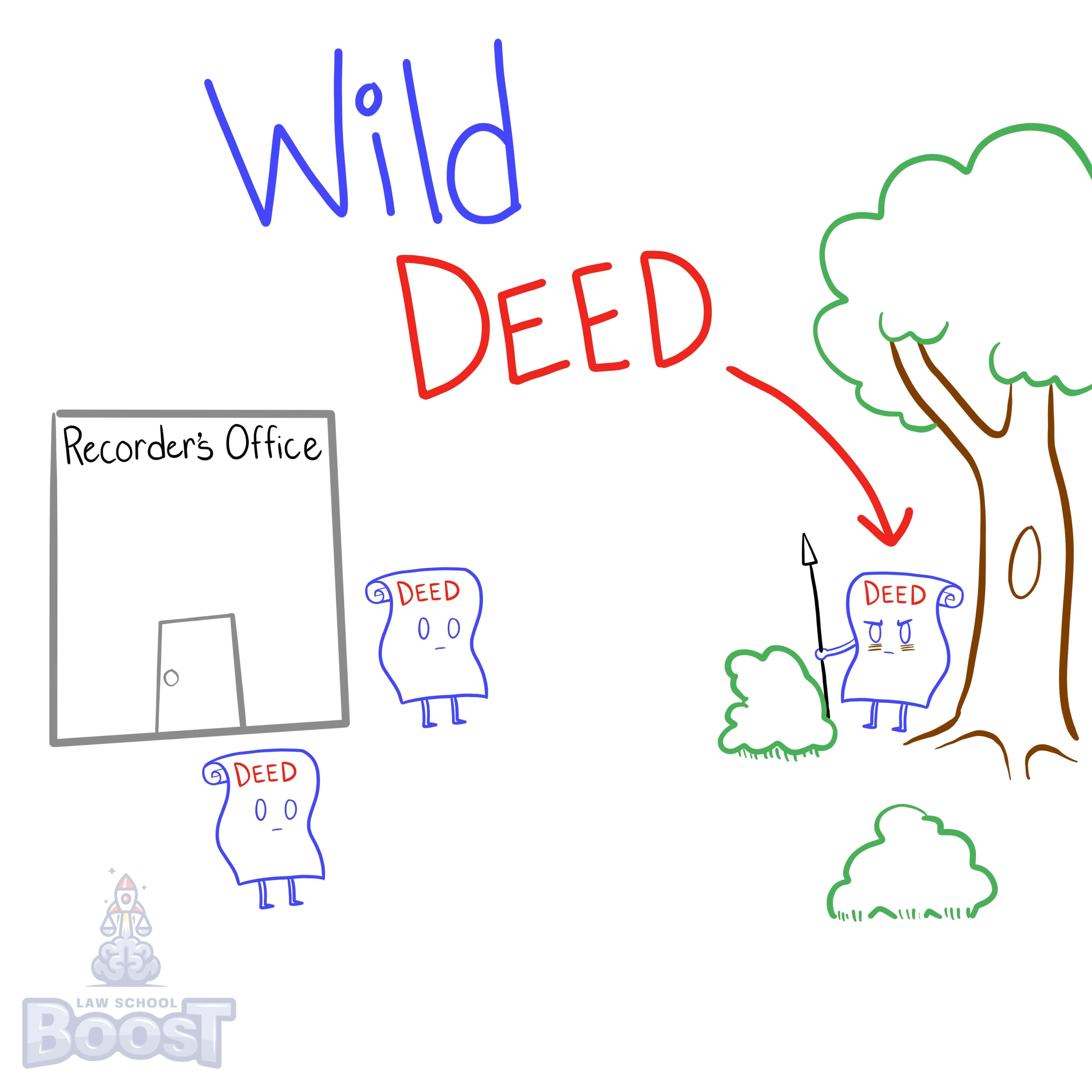 What is a wild deed?