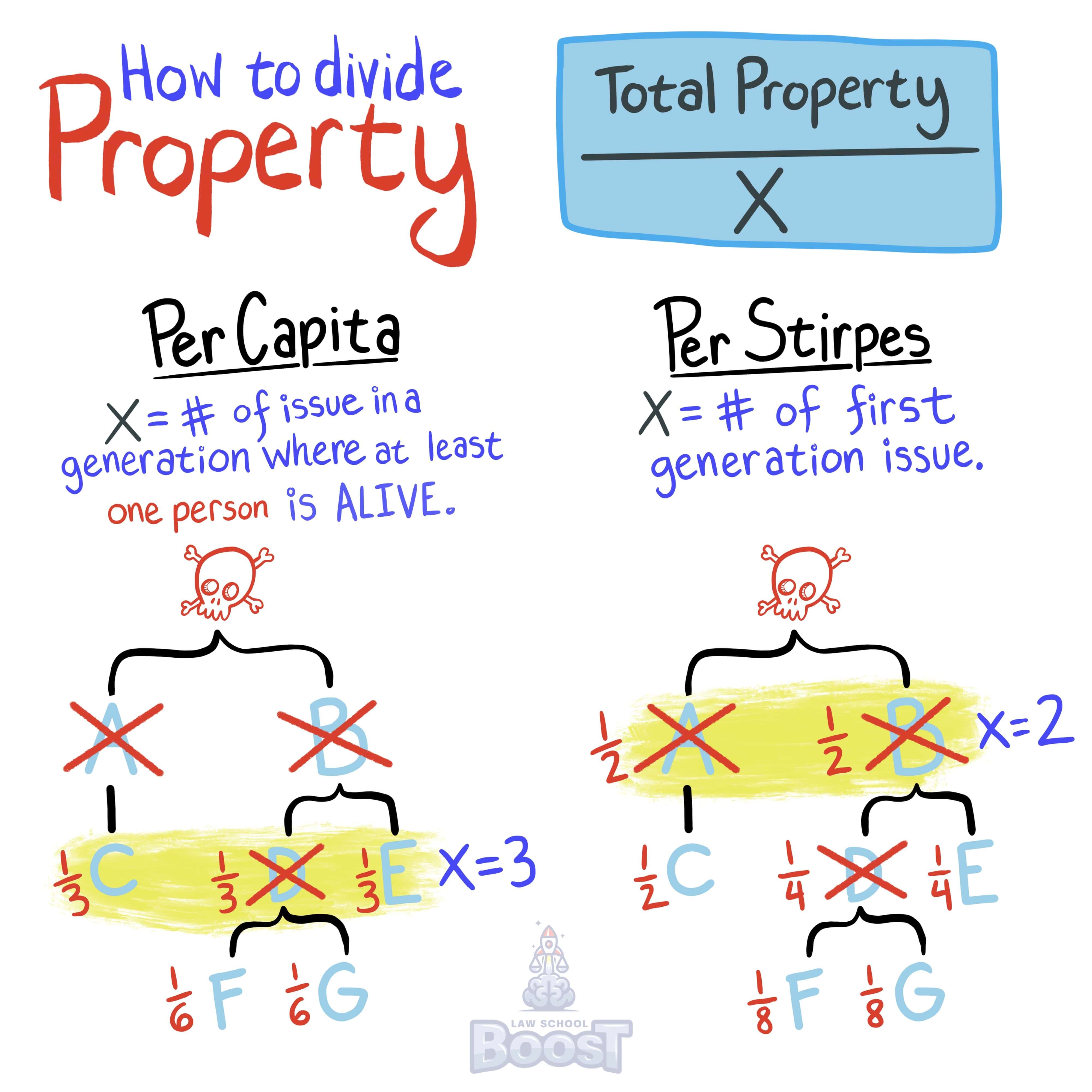 How is property distributed where a decedent has no surviving spouse?